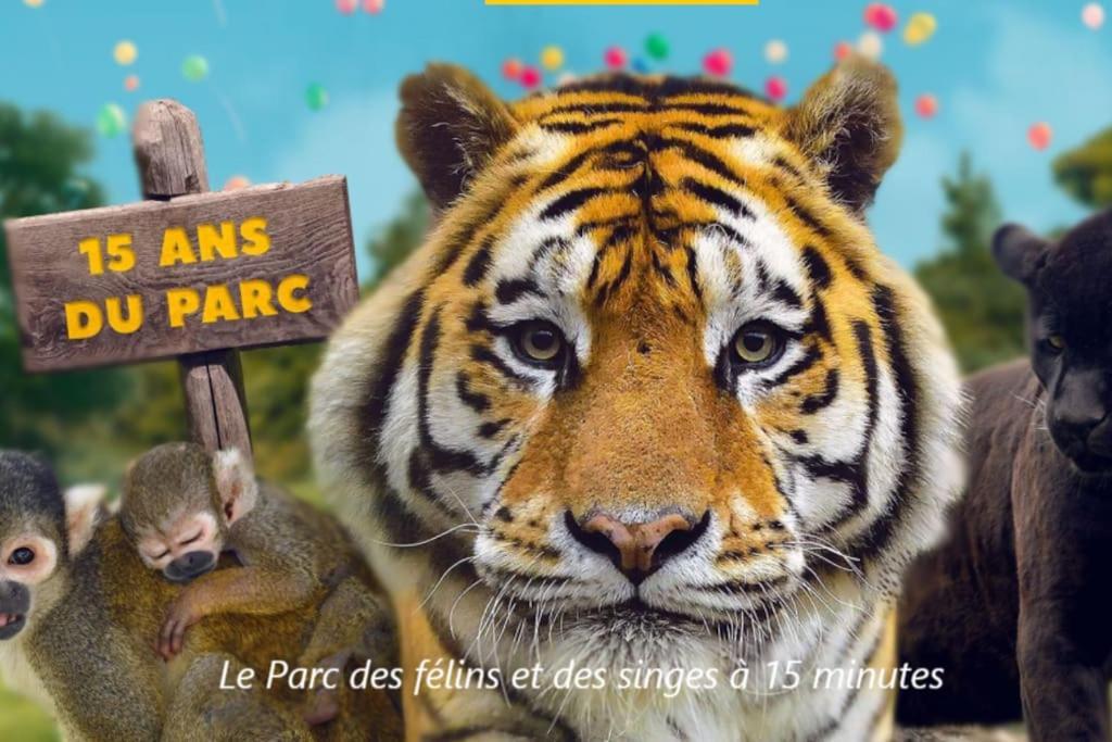 Cocon A La Campagne - Disney 20 Min - Paris 40 Min - 2 Terrasses Dammartin-sur-Tigeaux Kültér fotó
